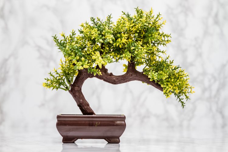 Fake Artificial Bonsai Tree