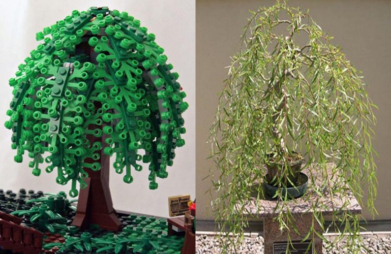 Lego Bonsai Tree - Willow
